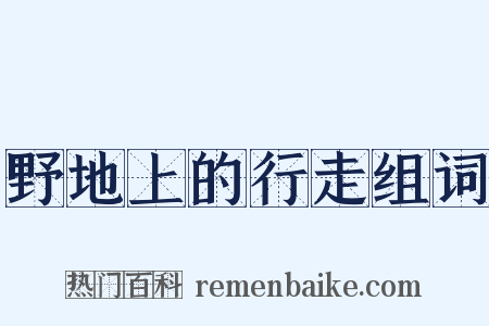 野地上的行走组词是什么意思的图片